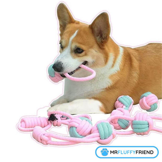 teeth cleaning for dogs