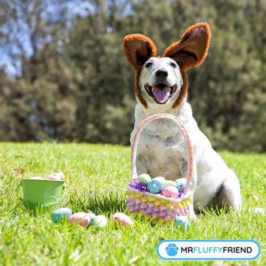 featured image of a blog about dog easter basket ideas