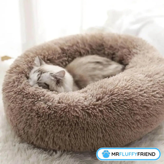 Featured image: fluffy cat sleeping peacefully in a cozy round beige bed, illustrating the topic “Do cats have bad dreams?”