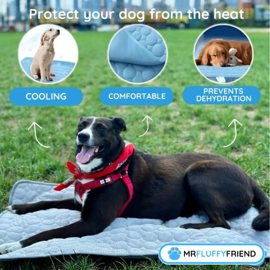 Happy dog on a MrFluffyFriend cooling pad showing how does a dog cooling mat work to prevent hyperthermia in dogs