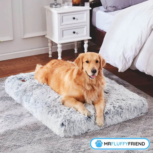 Featured image for a blog about the best dog bed for senior dogs with arthritis showcasing a golden retriever lying on a soft, plush grey orthopedic pillow.