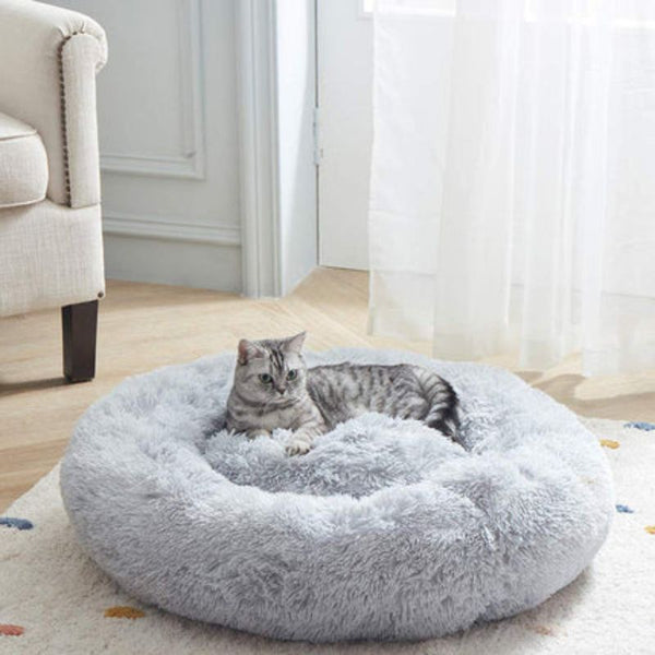 Do you want to give your cat a comfortable life?