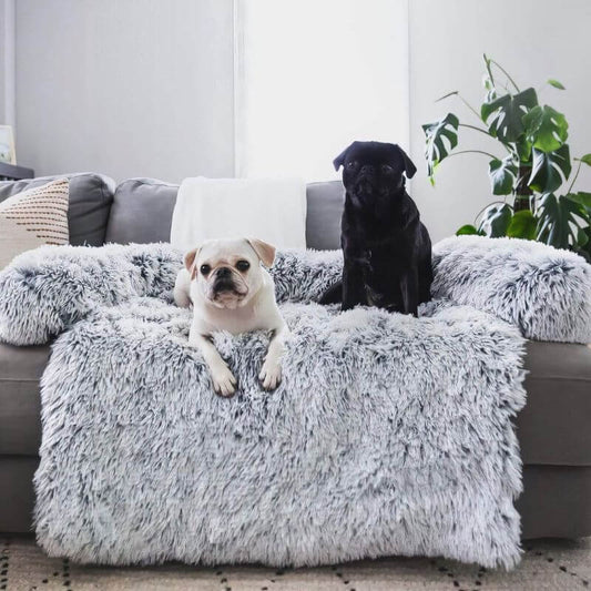 Two little dogs chilling on the sofa with a soft cover made for pets