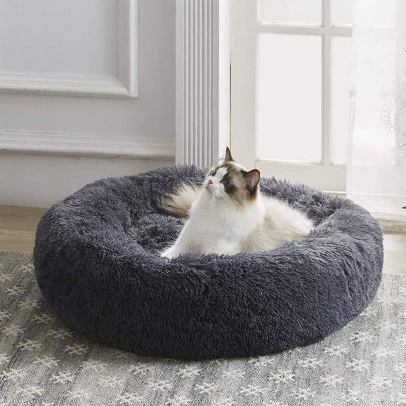 Fluffy white cat lounging comfortably in a soft dark gray round anxiety relieving pet bed near a bright window