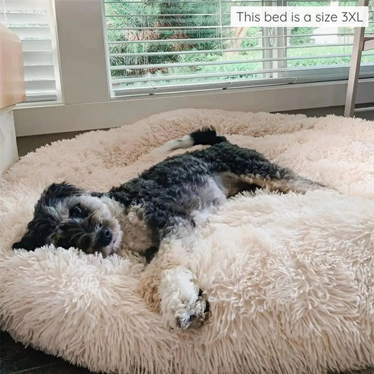 MrFluffyFriend™ - World's #1 Anxiety Relieving Dog Bed