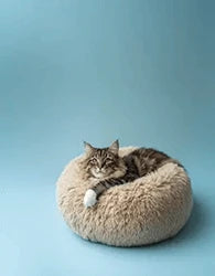 Photo of Calming cat bed