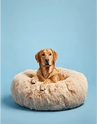 Photo of Calming dog bed