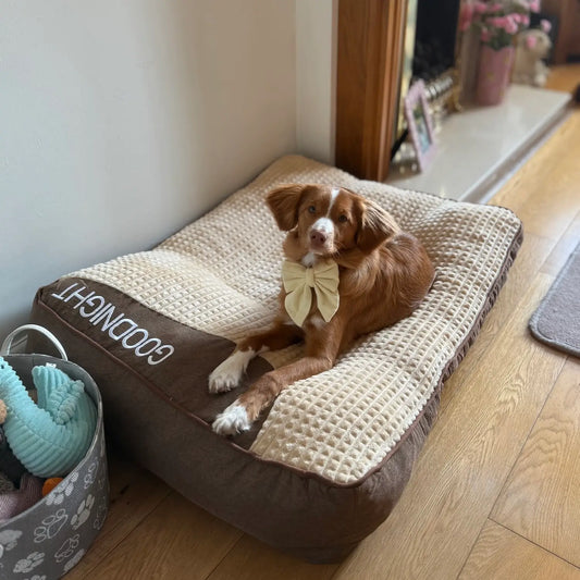 MrFluffyFriend™ - Calming Dog Cushion