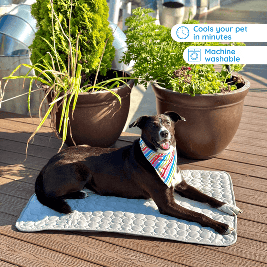 MrFluffyFriend™ - Ultimate Cooling Mat for Pets