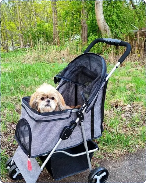 Jessica – 42 – California