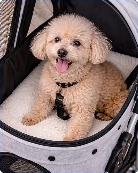 Kevin – 34 – New York