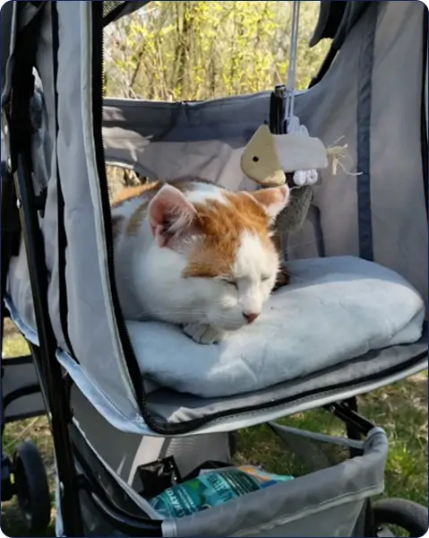 Melissa – 29 – Texas