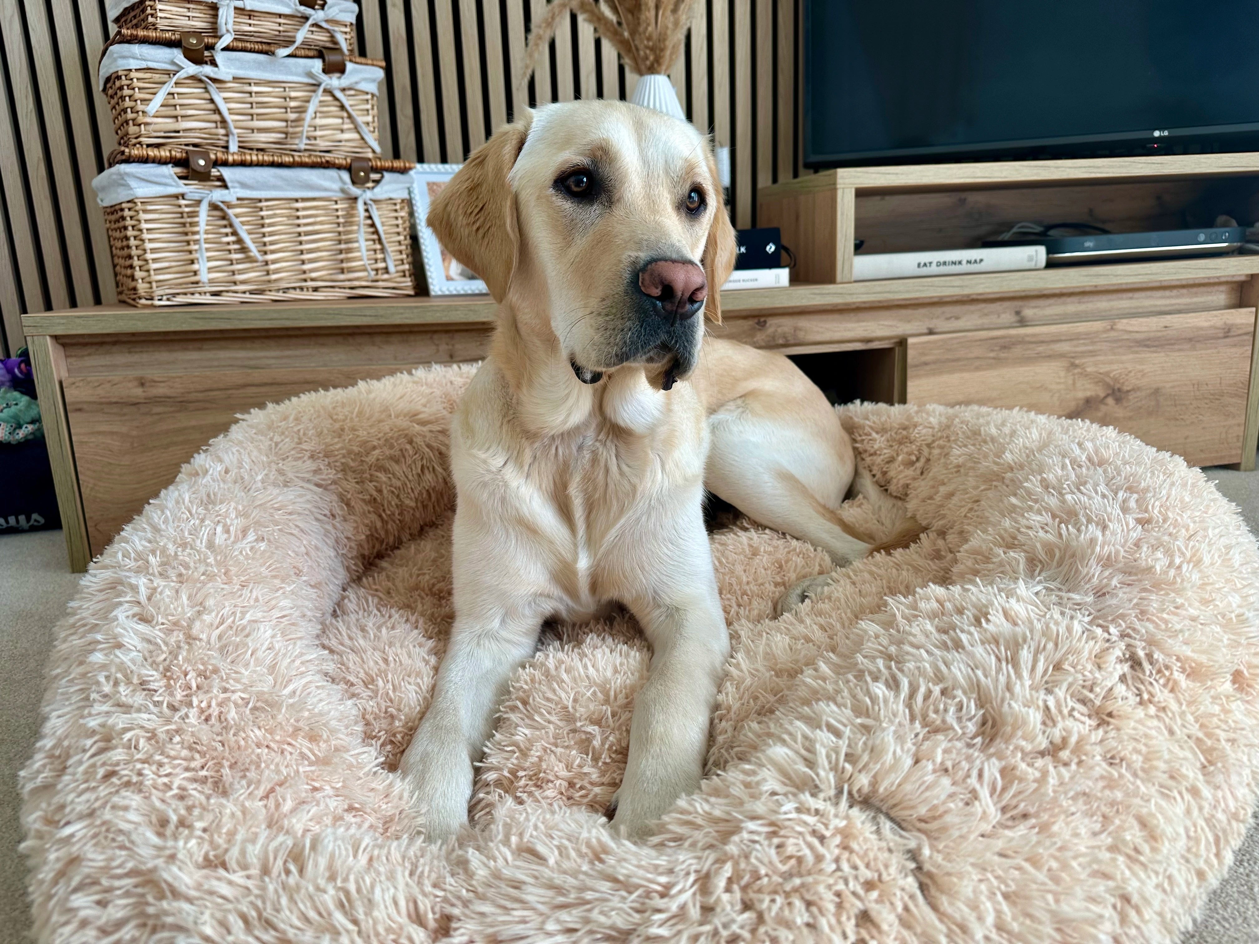 Hero Background Image