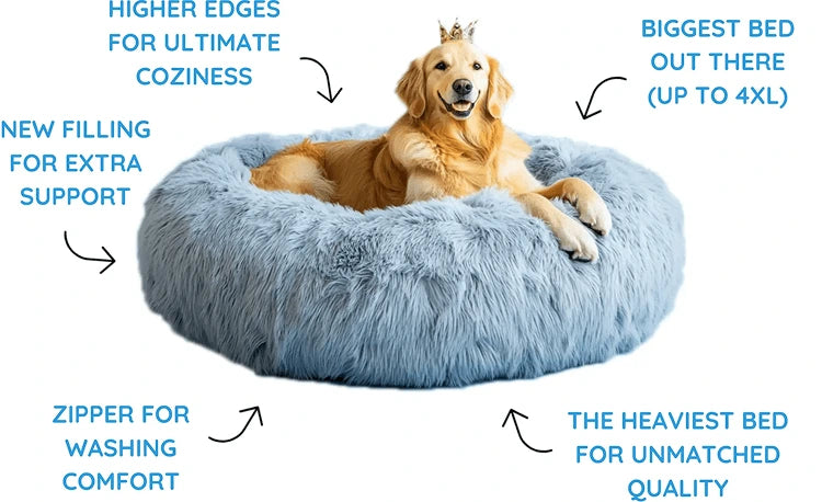 <strong>5 reasons to choose</strong> <br><em>the King of Fluffy Beds</em>