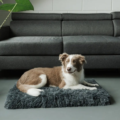 MrFluffyFriend™ - Orthopaedic Pillow