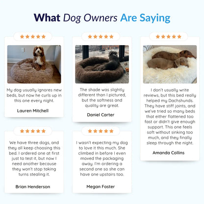 MrFluffyFriend™ - World's #1 Anxiety Relieving Dog Bed
