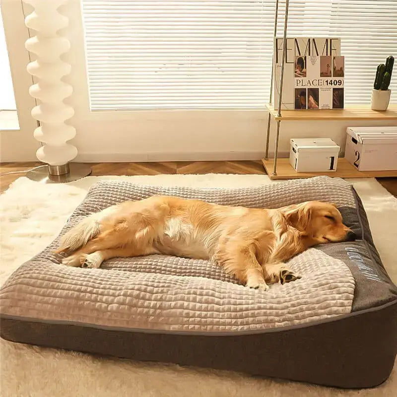 A golden retriever dog comfortably sleeping on a plush calming dog cushion
