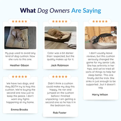 MrFluffyFriend™ - Calming Dog Cushion