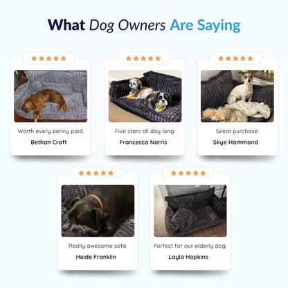 MrFluffyFriend - Orthopedic Dog Sofa Reviews