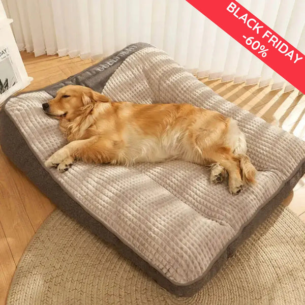 3 Out of 4 Dogs Sleep Wrong